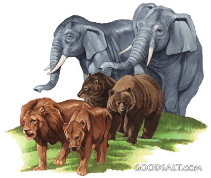 Animals in pairs of two walking to Noah\\'s ark.