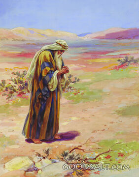 Abram on the Plains