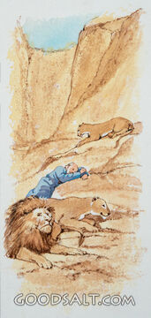 Amongst the Lions