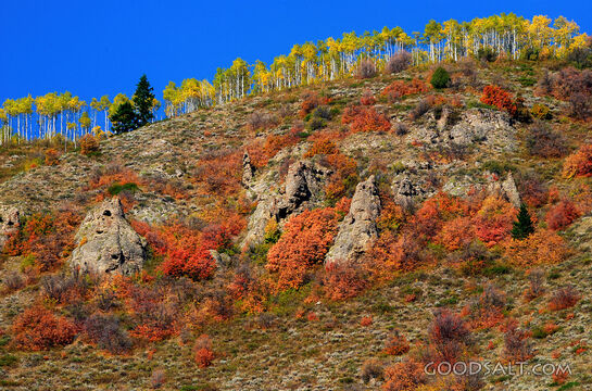 Autumn Color above the Snake River