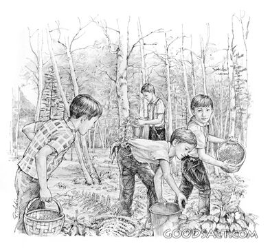 Berry Picking