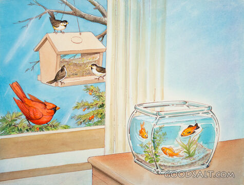 Birds and Fish