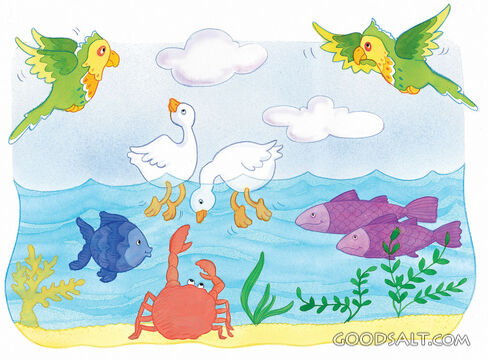 Birds and Fish