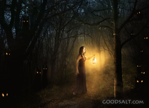 Carrying Light