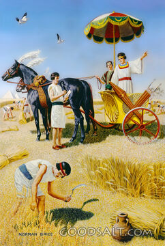 Egypt