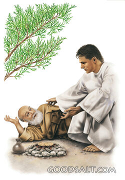 Elijah Visited by An Angel
