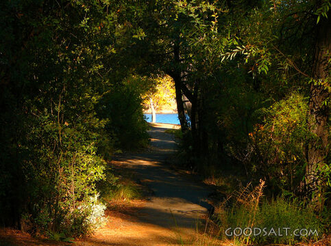 Enter Into God\'s Blessing