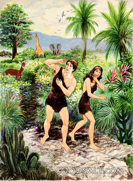 Fall of Man