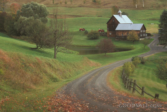 A small road leading to a farmhouse.