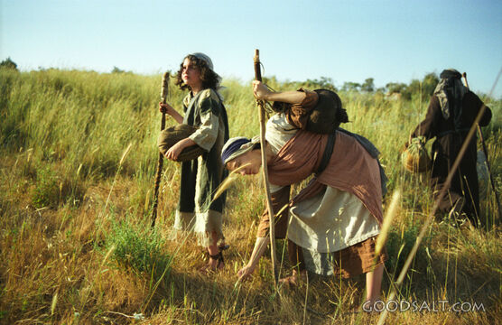 Field Workers