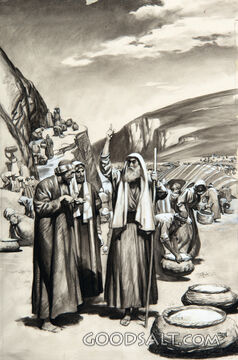 Gathering Manna