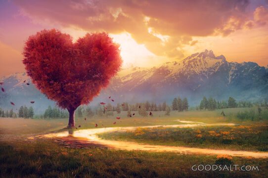 Heart Tree in the Mountains