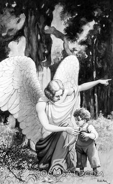 Helping the Lost Little One