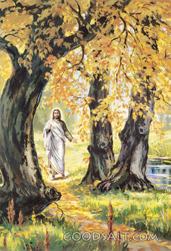 Jesus in the Fall