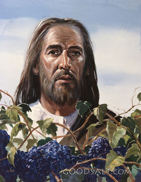 Jesus With Grapes