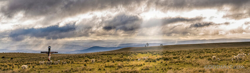 Search results for: ‘jesus on cross’ - GoodSalt