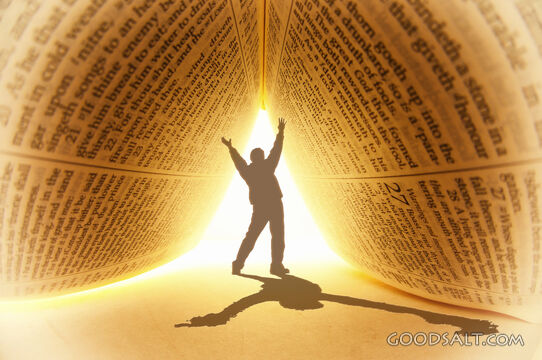 Living under the Word