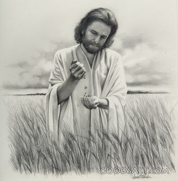 Lord of the Harvest