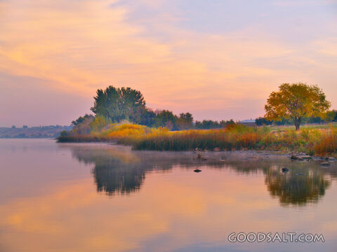 Morning on the River
