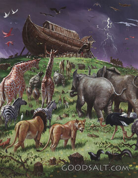 Noah's Ark