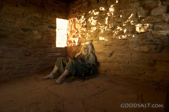 Prophet in Prison