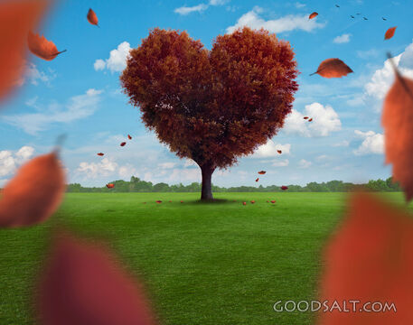 Red Heart Tree