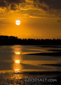 Sunset over Water