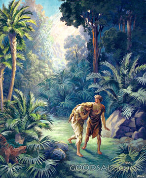Why Adam Lost His Garden