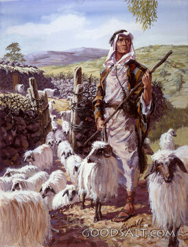The Good Shepherd Leads