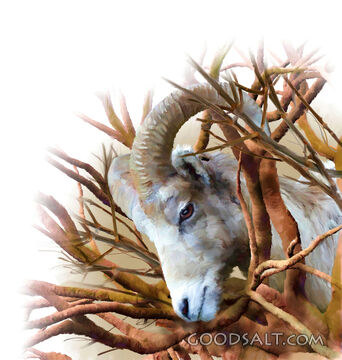 The Ram in the Thicket