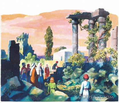 The Ruins of Jerusalem