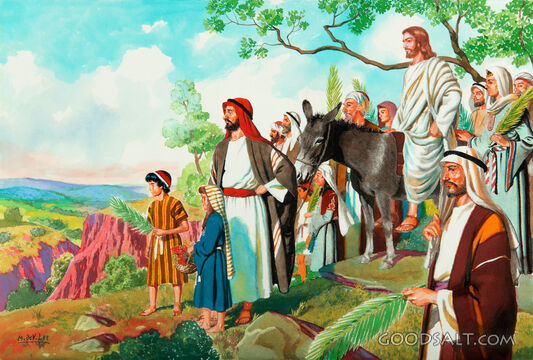 The Triumphal Entry - Viewing the Temple