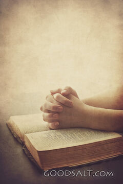 Two Praying Hands