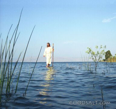 Walking on Water