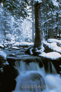 Cascata con alberi coperti di neve